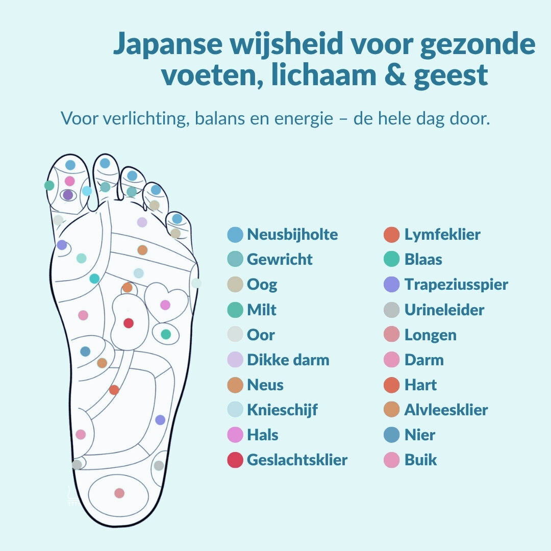VitaZolen - Magnetische Accupressuur Inlegzolen