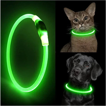 LumaPaw™ - Gloeiende Halsband